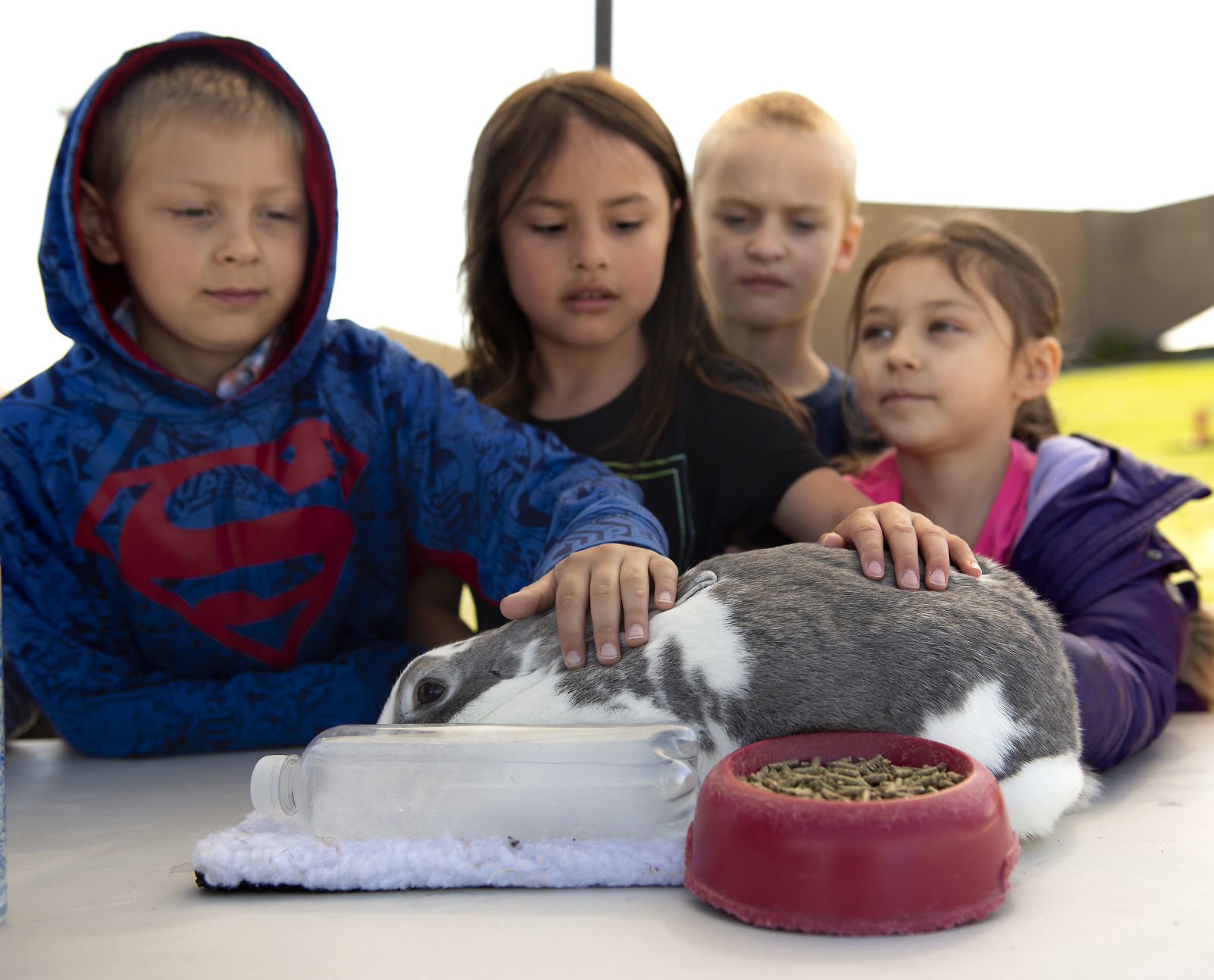 Ag day at I.B. Perrine Elementary